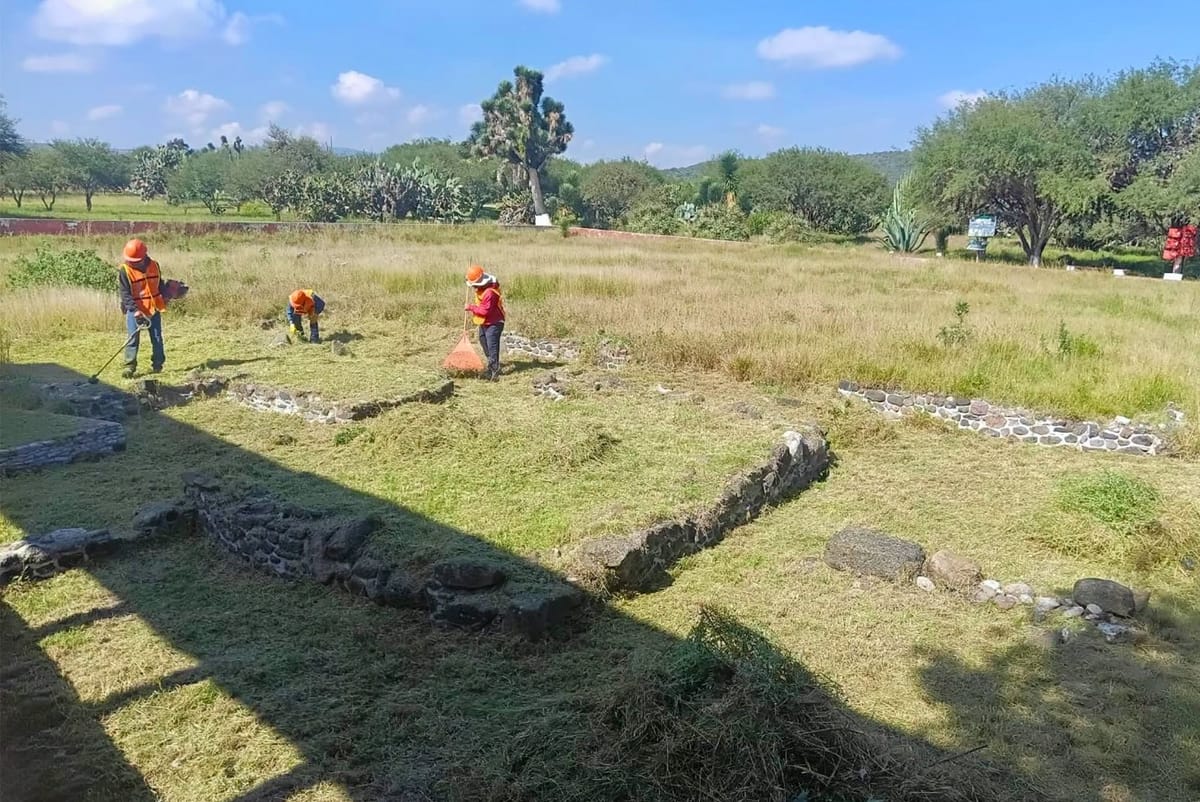 Retiran vegetación de vestigios arqueológicos en Tula para evitar daños Post feature image