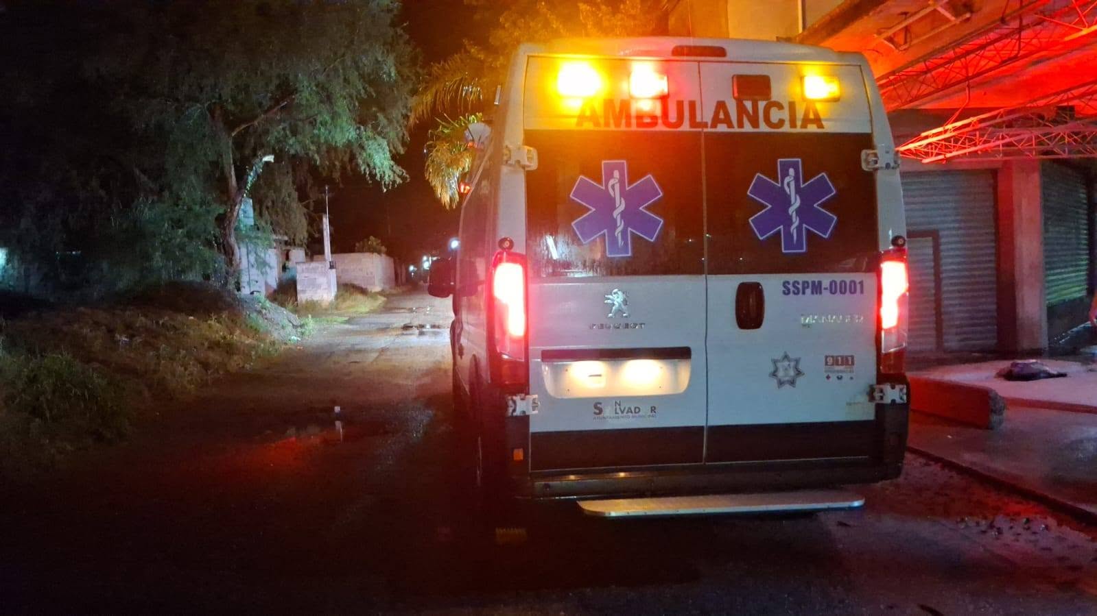 Rescatan a perrita atrapada mientras daba a luz en San Salvador imagen destacada