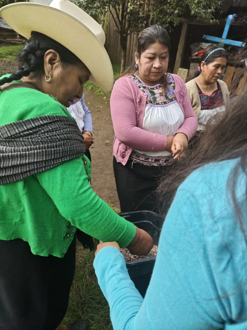 UAEH y mujeres de Acaxochitlán trabajan para proteger el maíz nativo imagen destacada