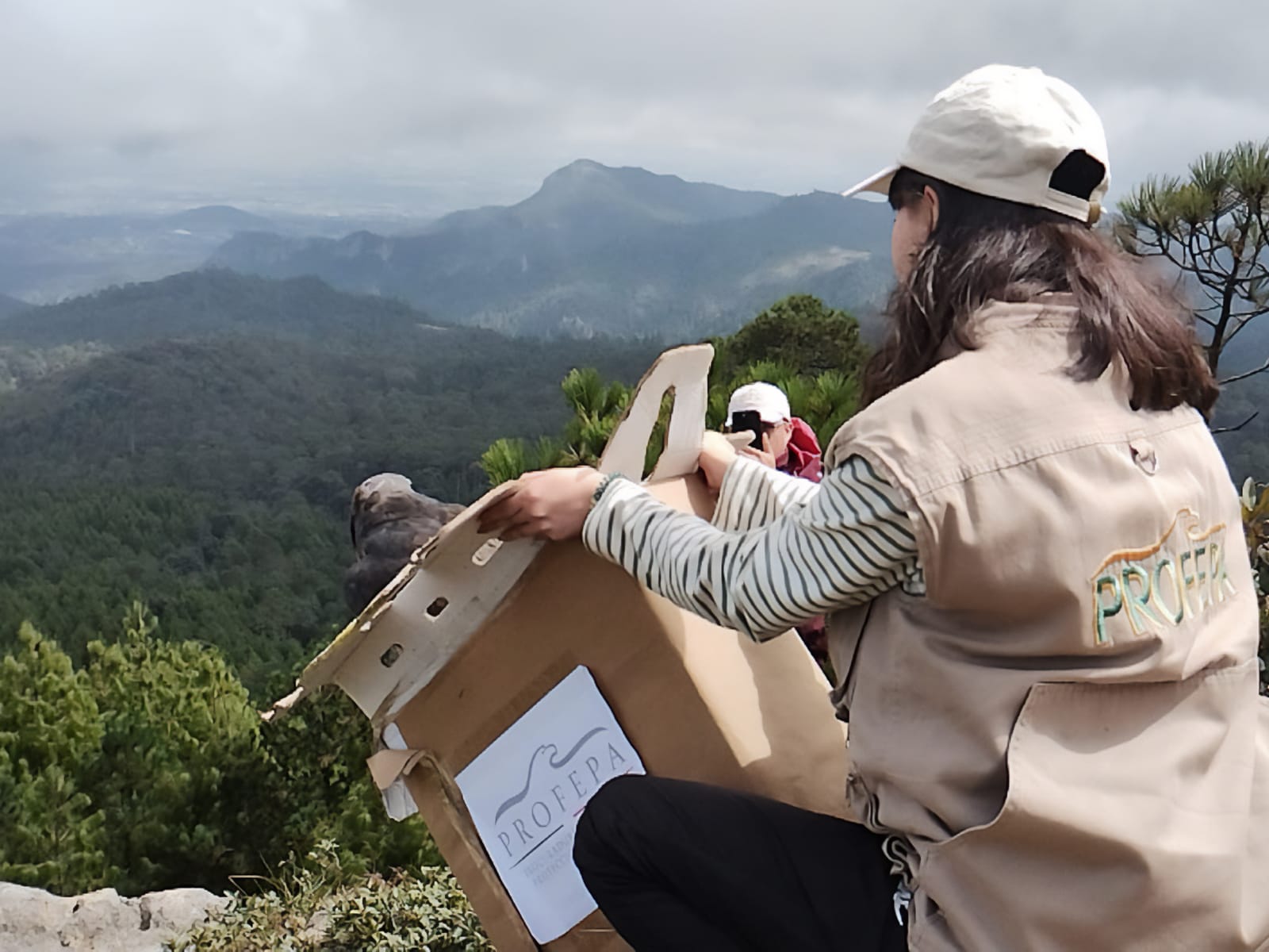 Liberan 33 animales silvestres en el Cerro de las Navajas, en Hidalgo imagen destacada