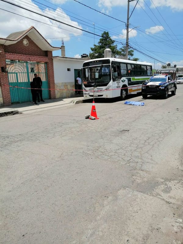 Aseguran a chofer tras presunto atropellamiento de un perro en Zapotlán de Juárez