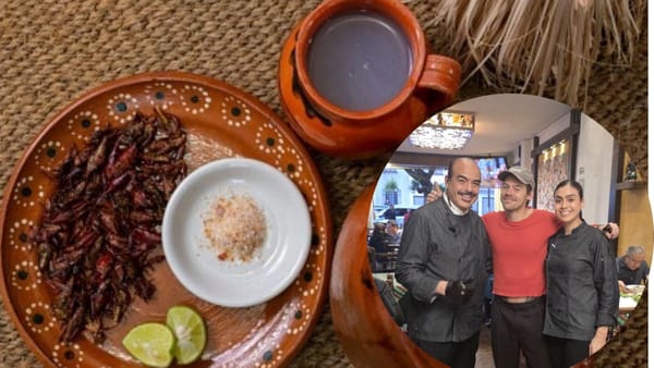 Harry Styles prueba la gastronomía hidalguense durante su visita a restaurante de la CDMX