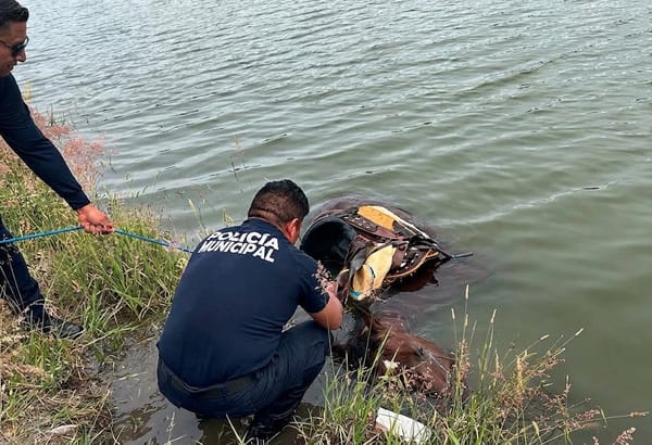 Buscan a jinete tras presunta caída a un bordo en Huichapan