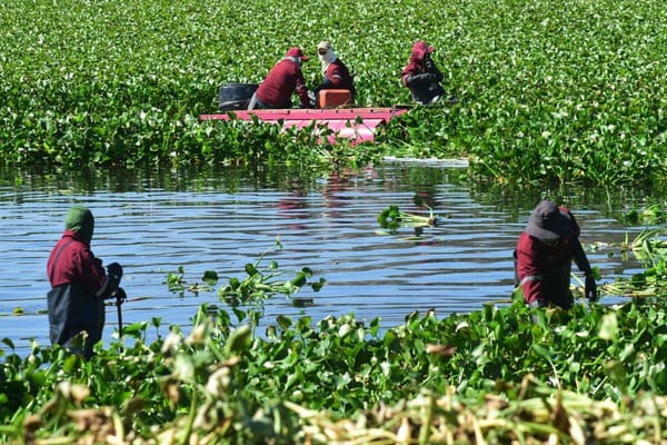 Presa Endhó: la investigación de The New York Times que puso el foco internacional en la contaminación de la región de Tula