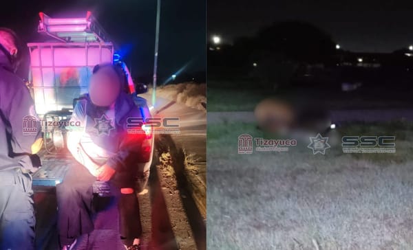 Supuesta jauría ataca a tres hombres en Tizayuca; reportan un fallecido