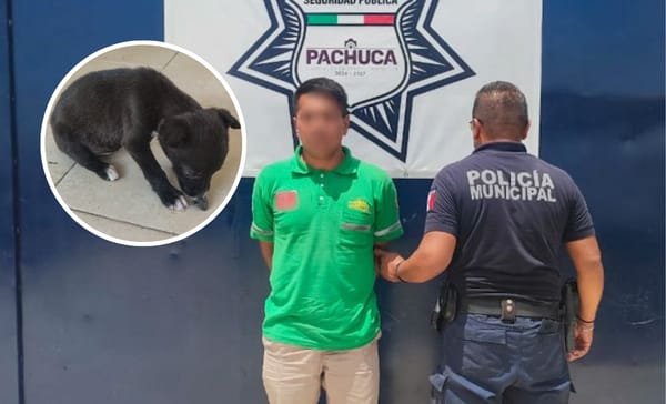 Detienen a hombre por presunto maltrato animal en Pachuca
