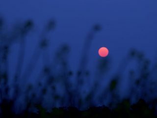 No te pierdas la Luna Rosa llena de abril en México