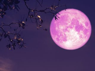 La Luna de Fresa, un fenómeno astronómico de junio
